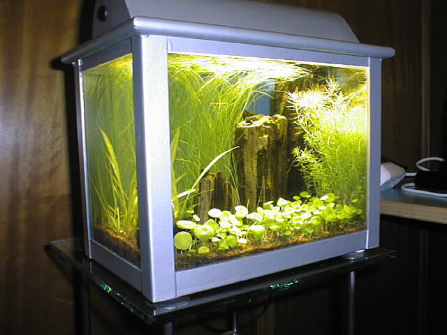 Thursday(_408075_).jpg