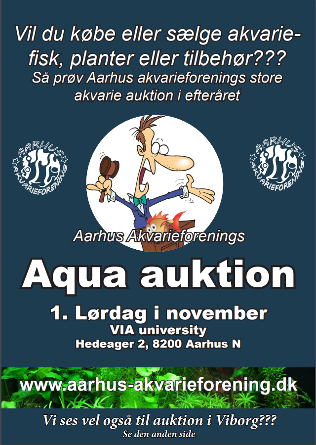 auktion
