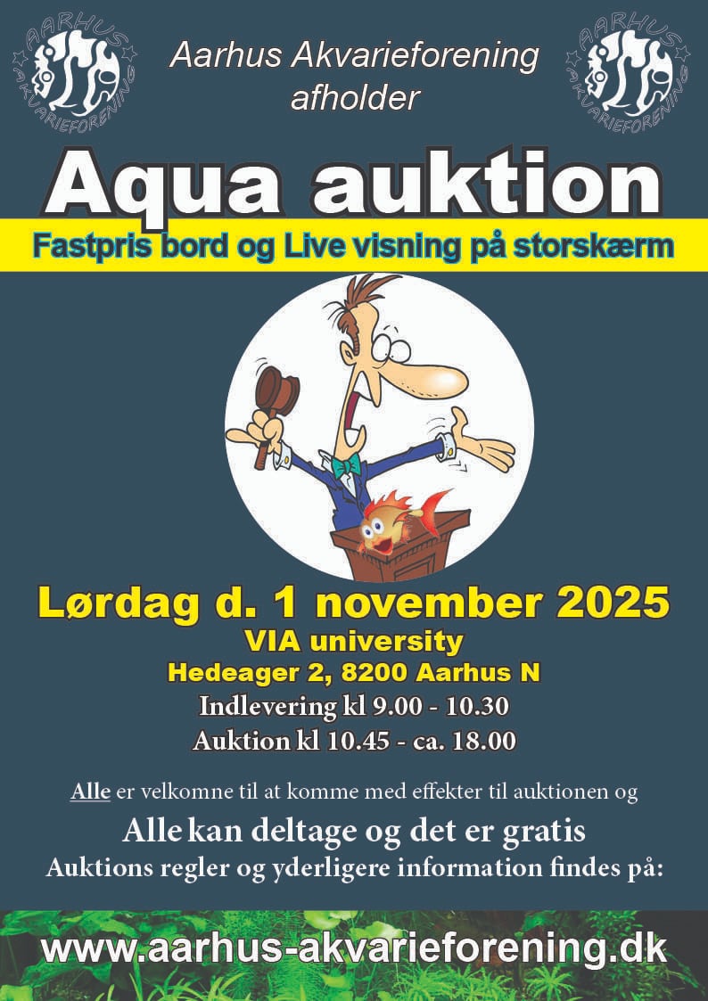 auktion2025