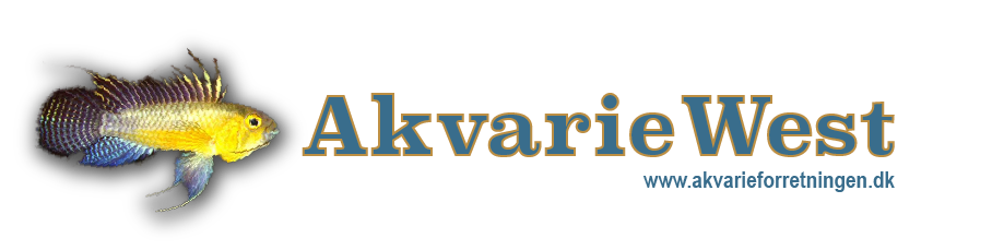 Akvarie West