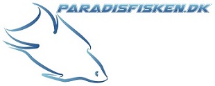 Paradiskfisken