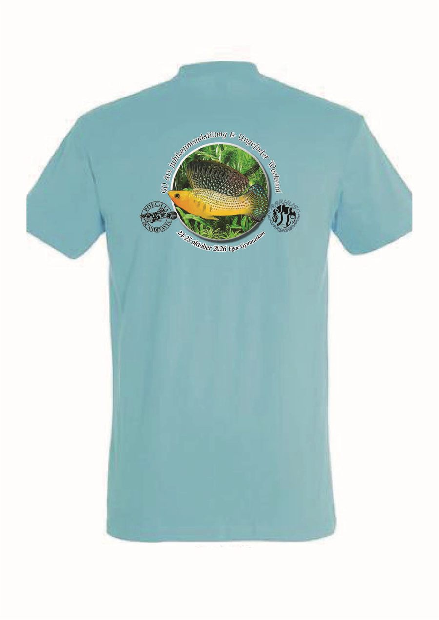 T-shirt, ryg