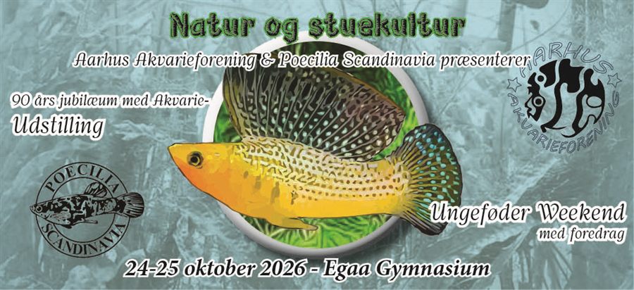 Motiv der trykkes på udstillingskruset